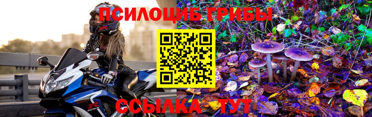 Псилоцибиновые грибы Magic Shrooms Тольятти