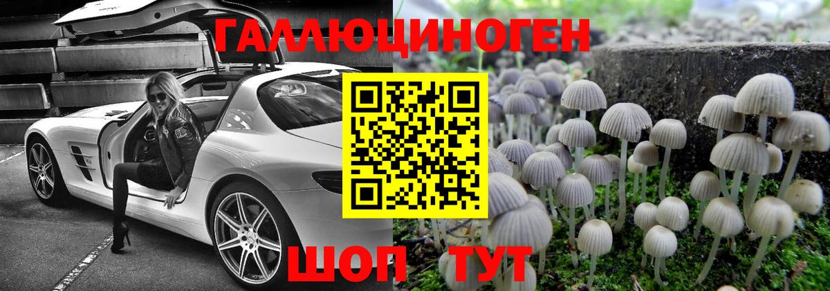 Псилоцибиновые грибы Cubensis  Псилоцибиновые грибы мицелий  Тольятти  Вход с VPN 